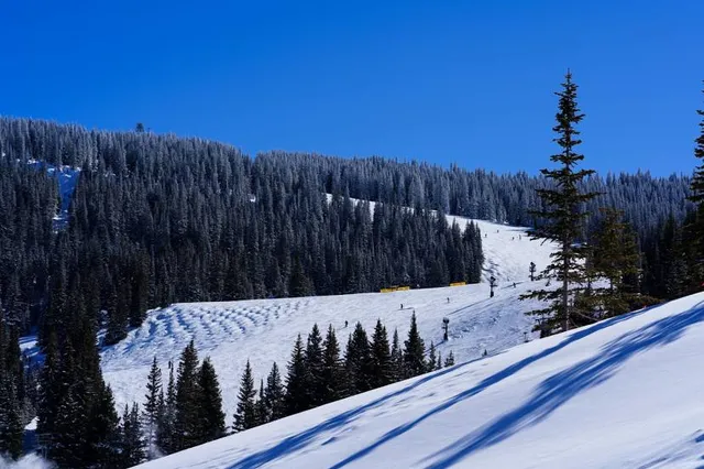 Ski & Snowboard Club