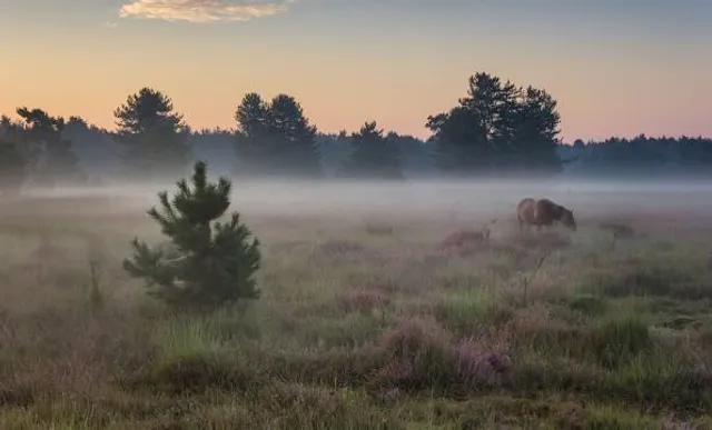 The visitor center Landscape Liereman