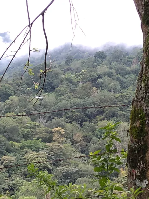 Reserva Ecológica Kolijke