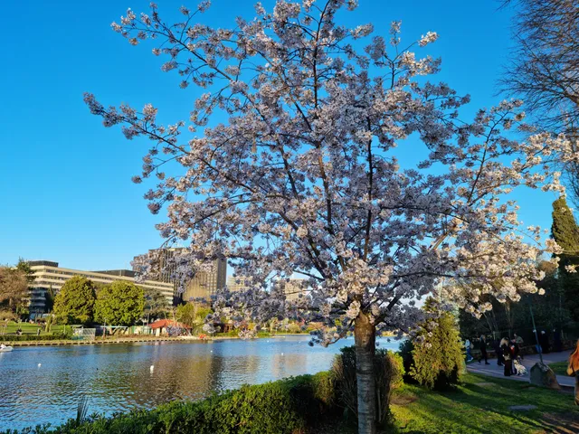 Parco del Lago dell'EUR