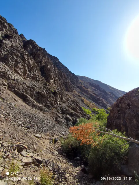 روستای بوژان