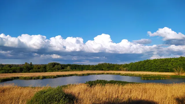 Merzse Swamp Nature Reserve
