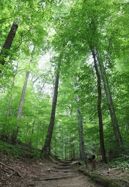 Potomac Overlook Regional Park