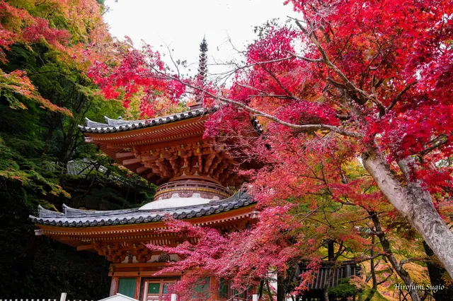 Ushitakisan Daiitoku-ji