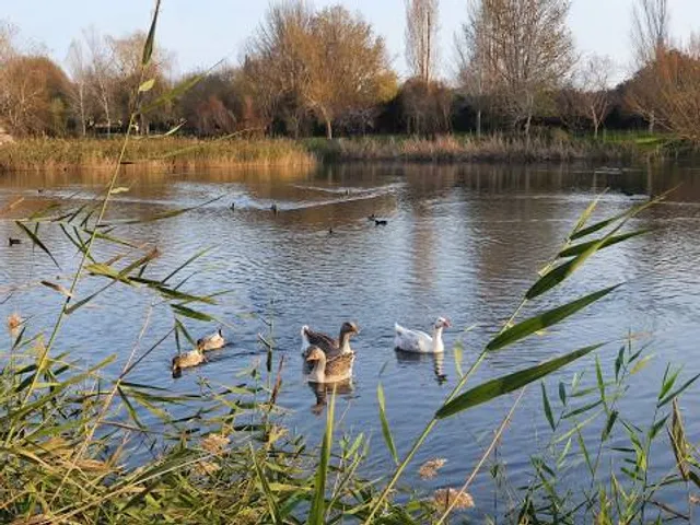 Aula Natura Marjal de Gandia