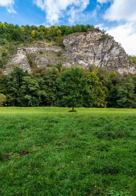 Kammerwoog - Krechelsfels