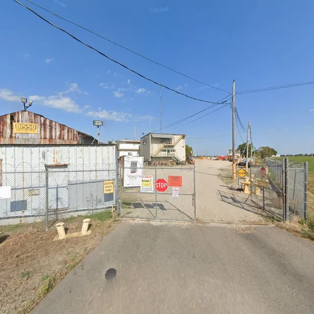 Imperial Woodpecker Sno-Balls