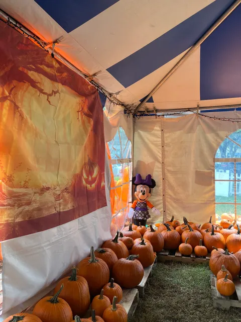 CommPres Pumpkin Patch