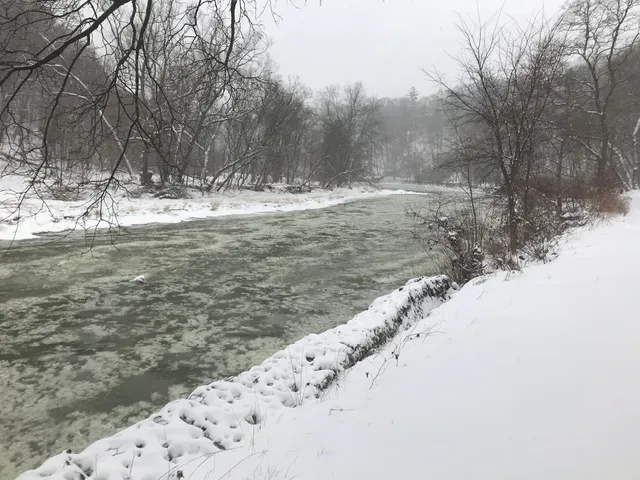 Lambton - Kingsway Park