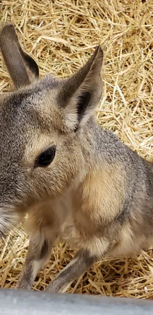 Cool Zoo Wildlife Center