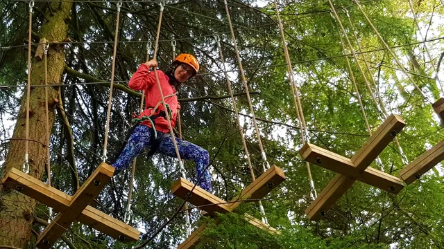 Craufurdland Activities & TreeTop Trials