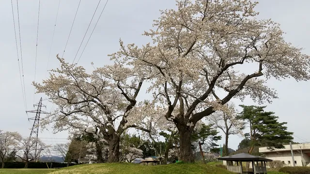 Naganeyama Sports Park
