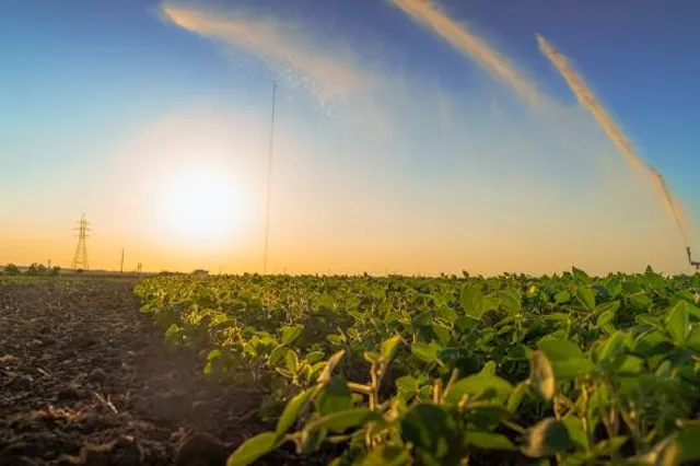Kryvyi Rih Botanical Gardens