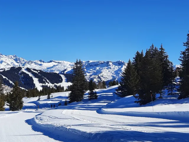 Les Saisies Aventures