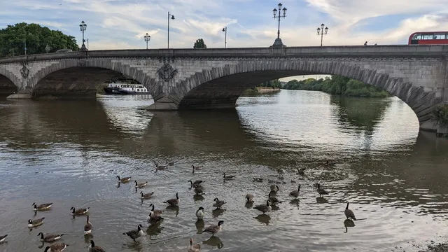 Kew Bridge