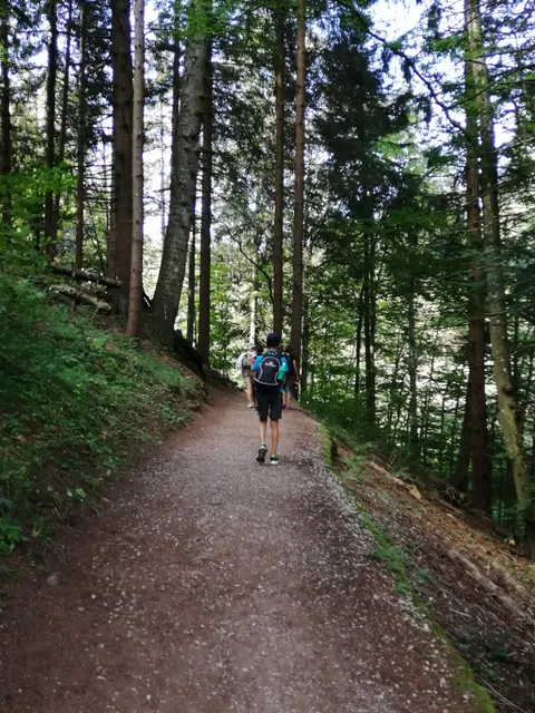 Sentiero Andalo-Molveno