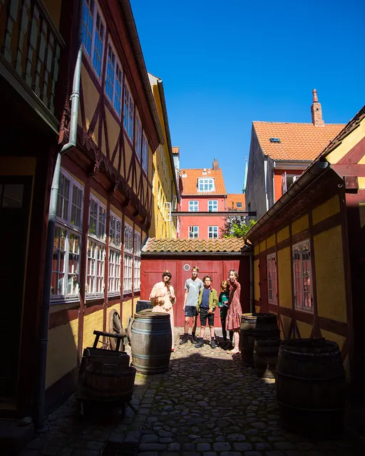 Elsinore Public Museums