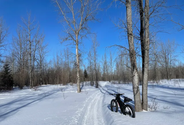 Aski Holistic Adventures