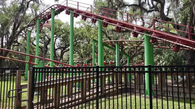 Ladybug Roller Coaster