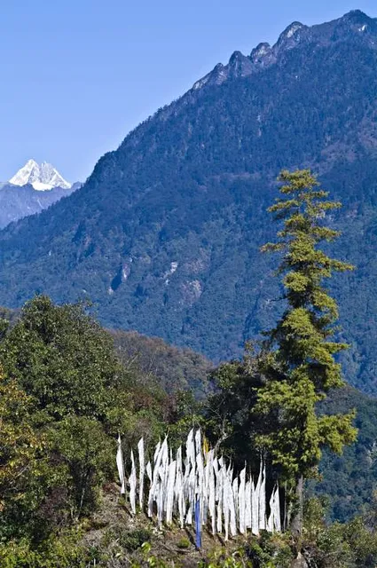 Jigme Dorji National Park