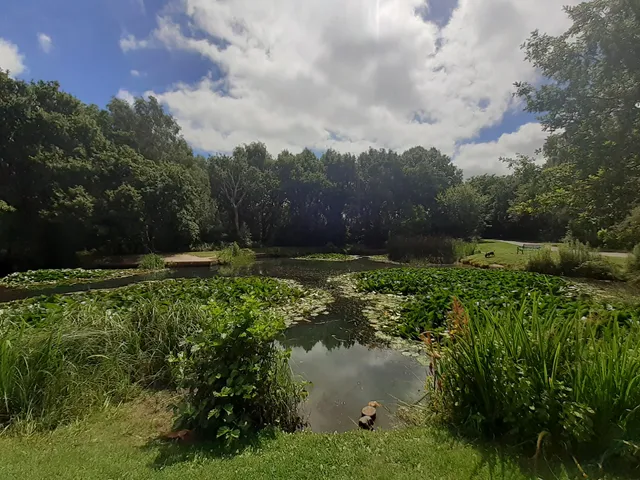 photo-3
