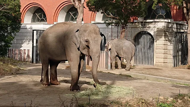 Yokohama Animal Forest Park