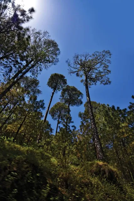 Pant Wildlife Sanctuary