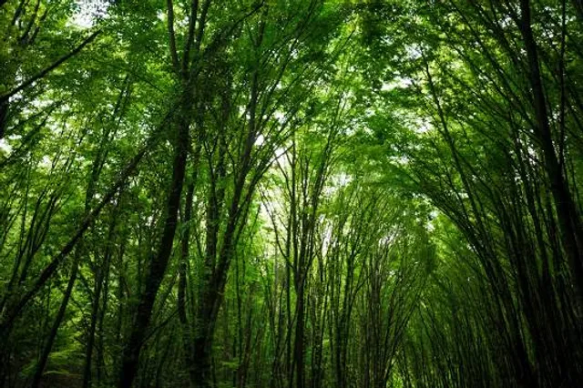 Municipal Domingo F. Sarmiento Park