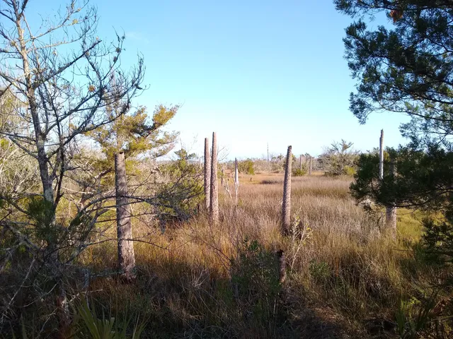 Castaway Island Preserve