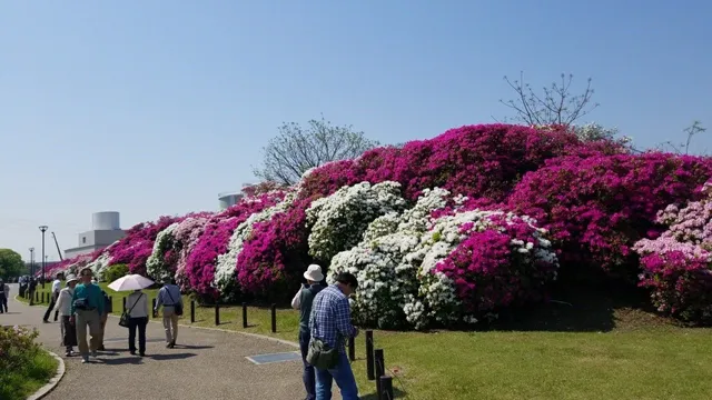 Asakayama Park