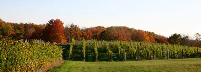 Brengman Family Wines