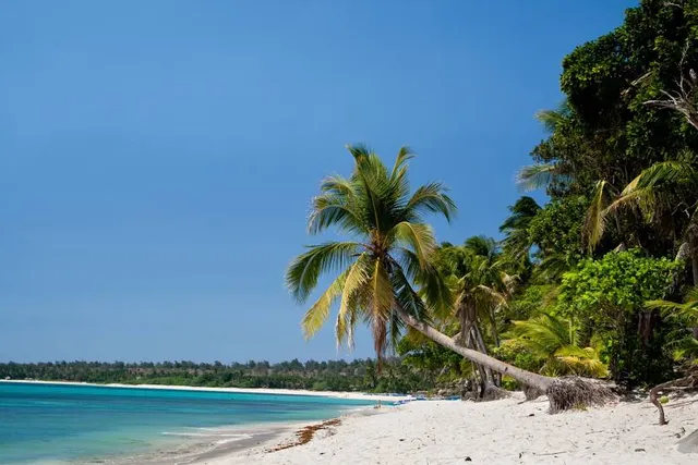 Saud Beach Resort and Hotel