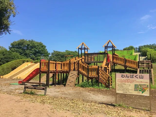 Koganei Park Energetic Mountain Playground