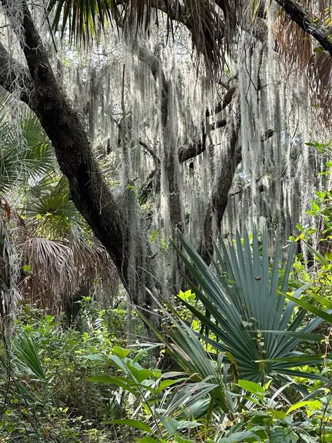 Delray Oaks Natural Area