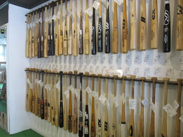 Nanto Bat Museum