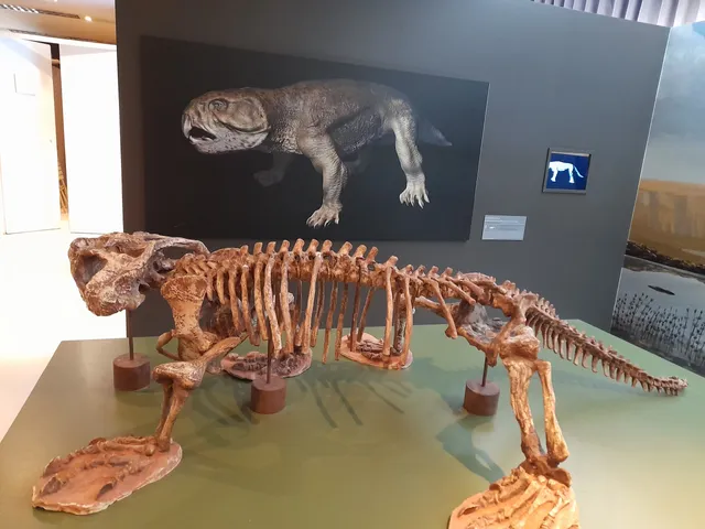 UFMG Knowledge Center