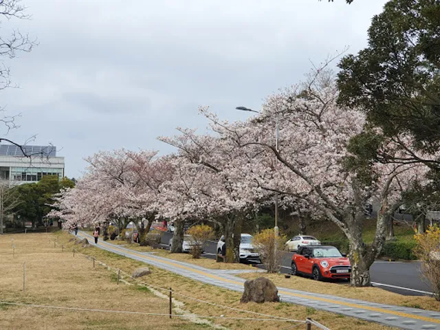 Jeju National University, Ara Campus