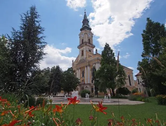 photo-1