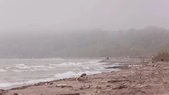 Port Burwell Provincial Park