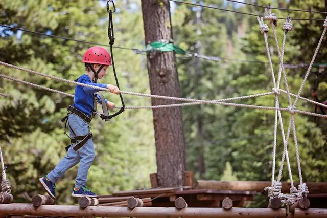 Tahoe Treetop Adventure Parks