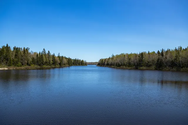 Irishtown Nature Park