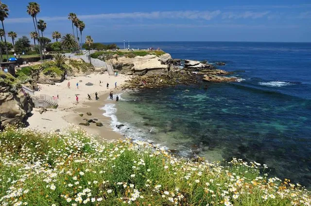 La Jolla Cove