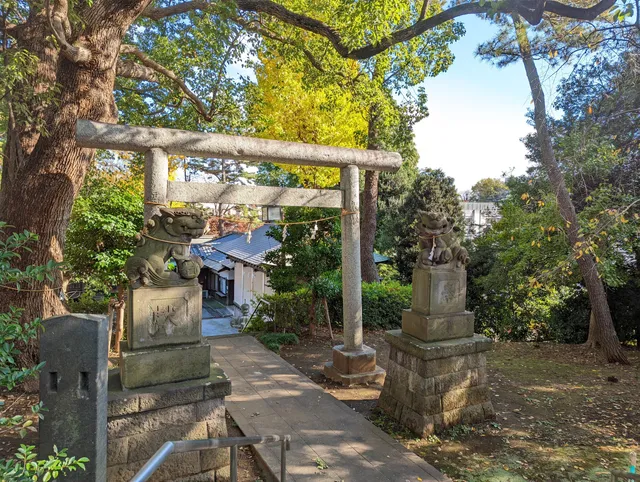photo-1