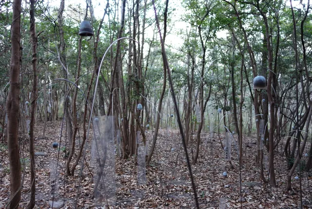 La forêt des murmures