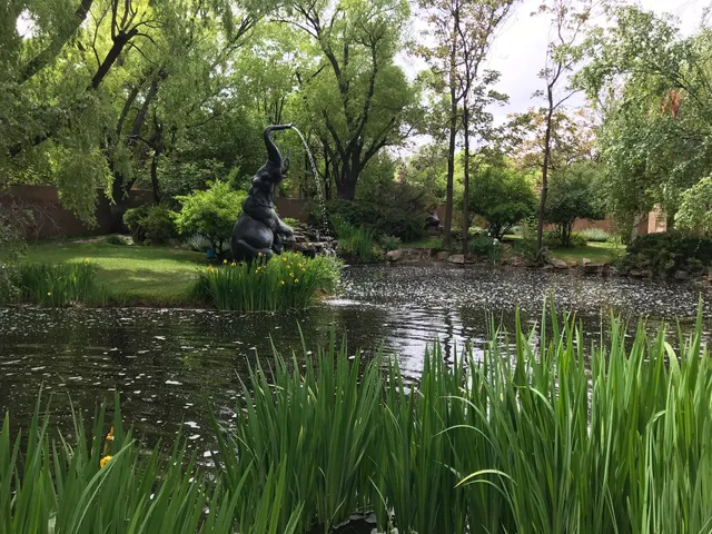 Nedra Matteucci Galleries