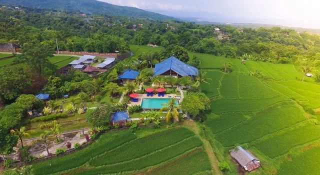 Ume Cantik Villa Lovina