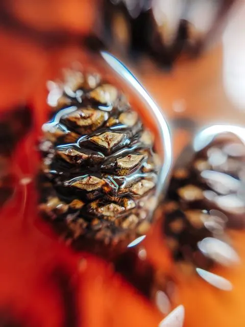 Pino Dulce Ecological Park