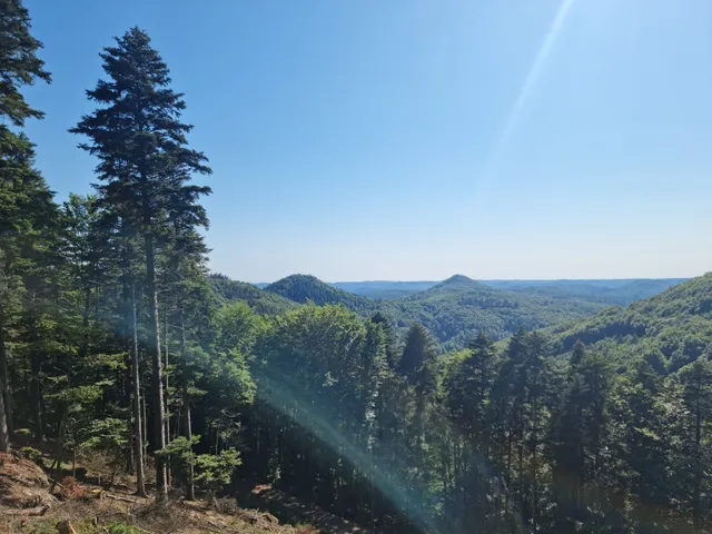 Aussichtsplattform Hermersbergerhof Pfälzerwald