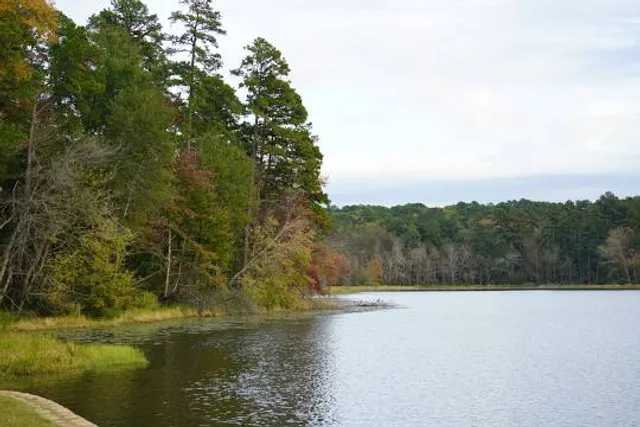 Daingerfield State Park