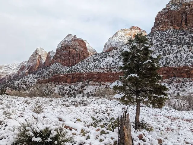 Zion Human History Museum
